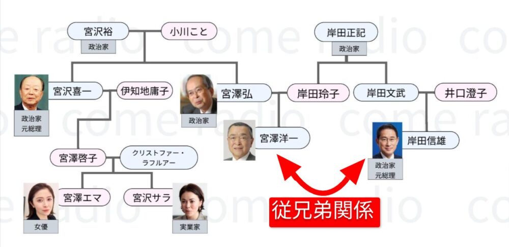 宮沢洋一の家系図